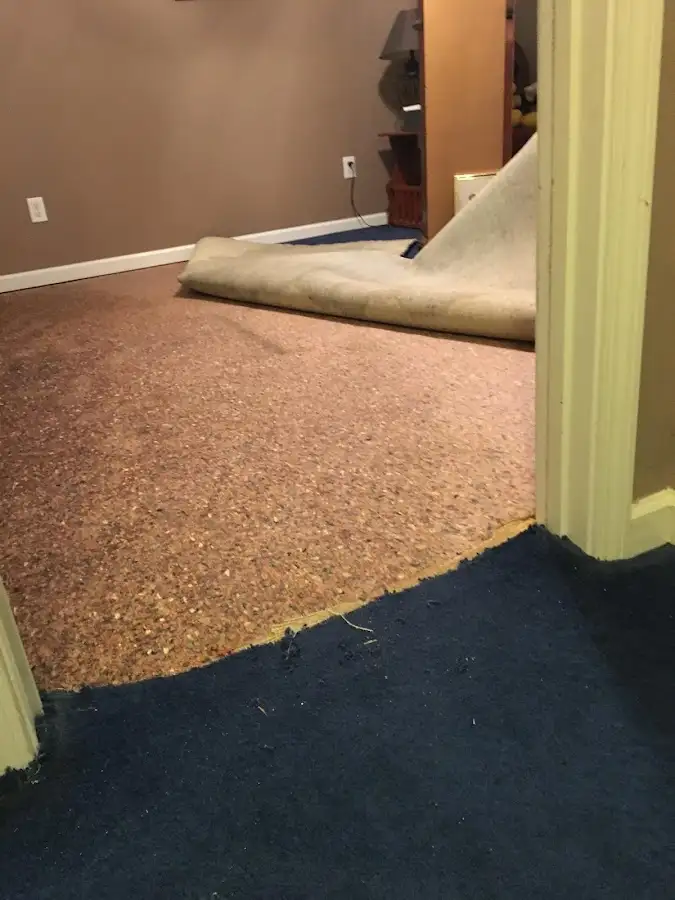 Carpet pad removal revealing water damage during Drying & Dehumidification in Quincy