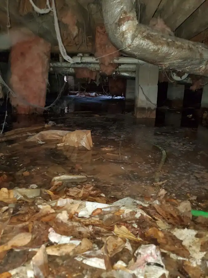 Crawl space flood assessment for Leak Detection & Repair in Quincy